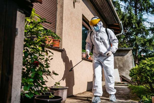 Best Residential Pest Control  in Albion, PA