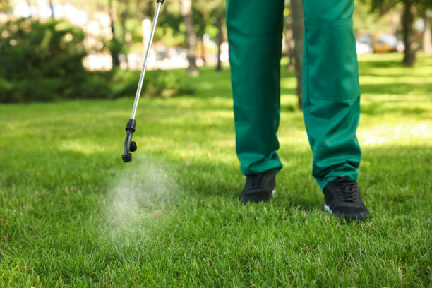 Best Local Pest Control Services  in Albion, PA