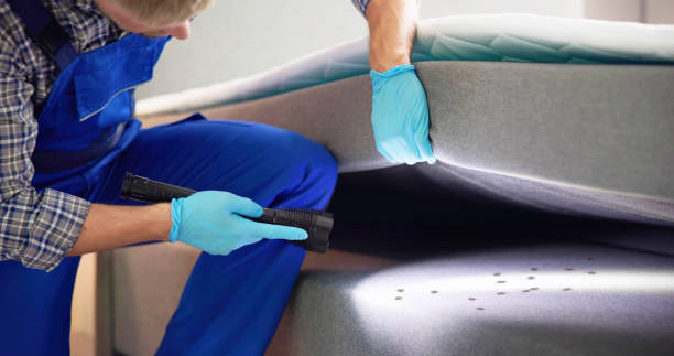 Best Pest Control Near Me  in Albion, PA