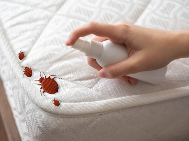 Best Pest Removal Services  in Albion, PA